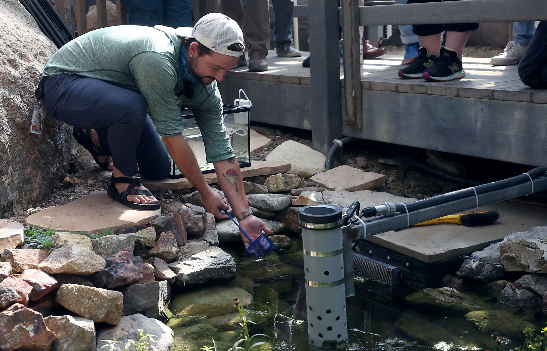 Feisty endangered fish finds new home inside Biosphere 2